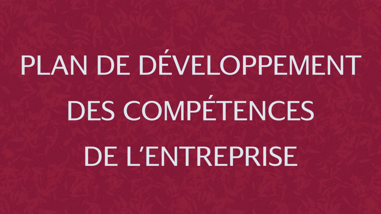 plan de développement des compétences